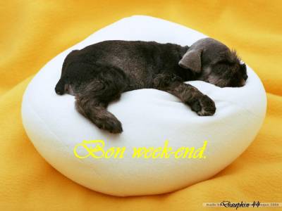 BON WEEK-END