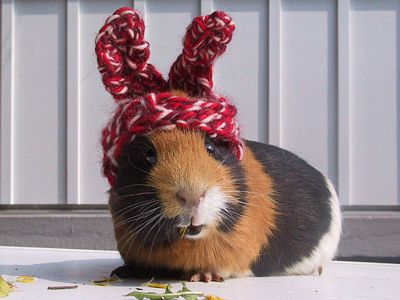 PUB pour une super amie !!!!!!!