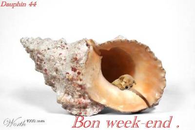 Oui le week-end 
