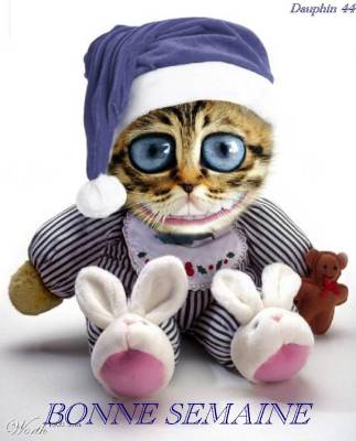 Semaine sous la pluie