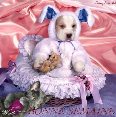 SEMAIN SOUS LA PLUIE !!!!!!!!