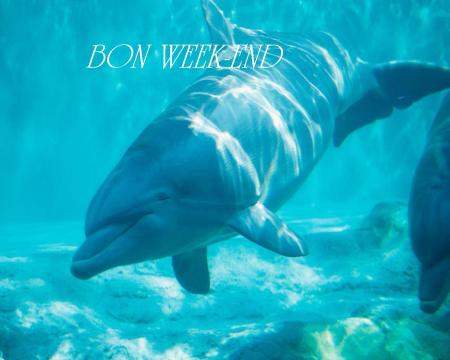 Week-end sous la pluie 