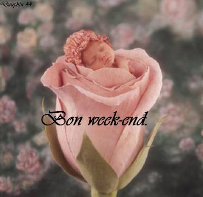 BON WEEK-END A VOUS !!!!!!!!!!