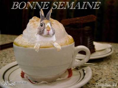 la semaine avec la pluie