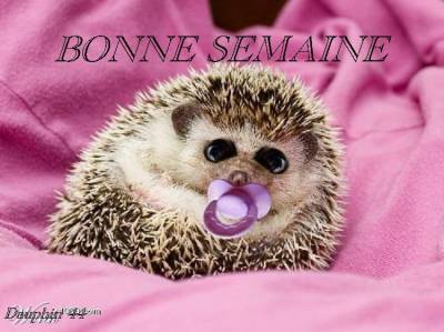 avec tu soleil !!!!!!!!!