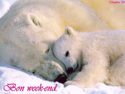 super week-end Amandine est malade elle a un bronchite !!!!!