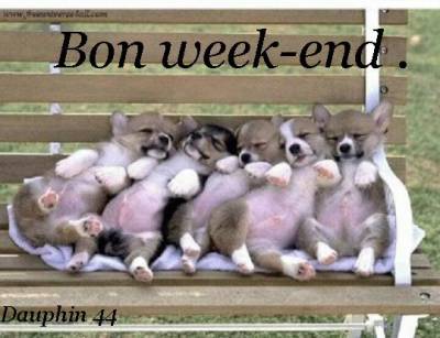 Du soleil pour le week-end super bien !!!!!!!!!!!!!!!!!!!