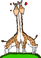 Une girafe