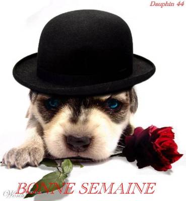 OUI  encore  et encore de la pluie !!!!!!!!!