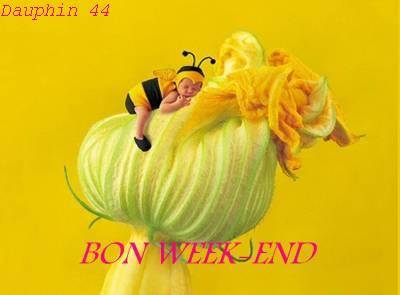 WEEK-END AVEC LE SOLEIL SUPER BIEN !!!!!!!!!!