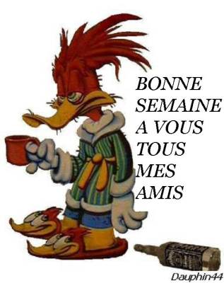 et oui elle arriver qui ? ma belle-mere !!!!!!!!