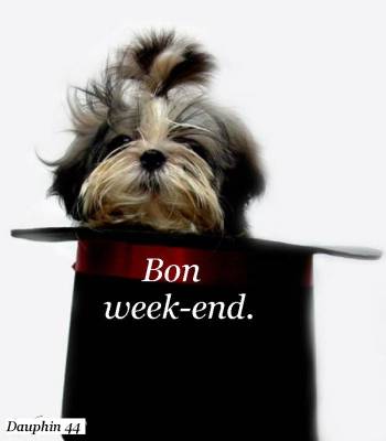 OUI IL Y A DU SOLEIL POUR LE WEEK-END SUPER BIEN !!!!!!