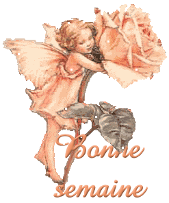 et oui encore de la pluie !!!!!!