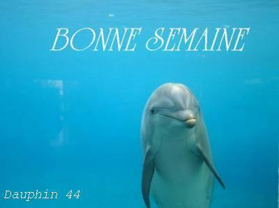 ET OUI LES AMIS(IES) LES VACANCES SONT FINIES 