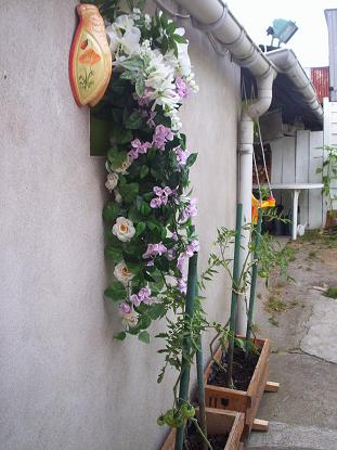 Mon petit jardin !!!!!!!!