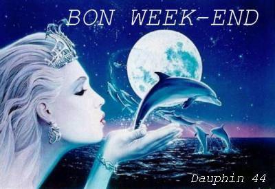 oui il y a du soleil oufffffffffffffff!!!!!!!!!!!!!!!!!