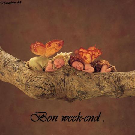 et une semaine de plus !!!!! bon week-end mais amis-ies bizou !!!!!