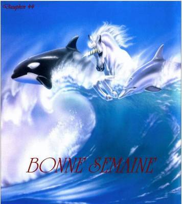 ET OUI ENCORE UNE SEMAINE  !!!!!!!!!!