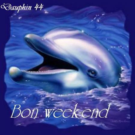 pour le week-end encore de la pluie !!!!!!!!!!