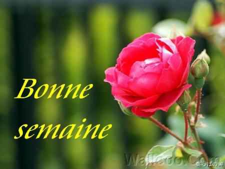 une semaine froide mais avec du soleil !!!!!!!!