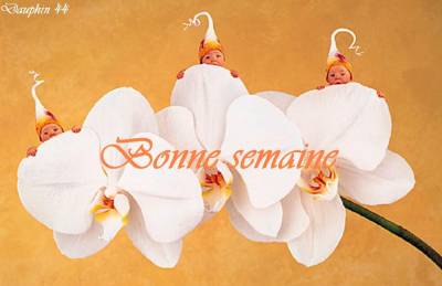 OUI OUI J'AI DU SOLEIL SUPER NON !!!!!!!!!!!!!!