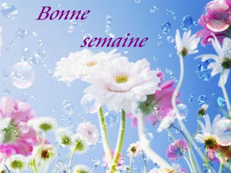 Lundi , Mardi pluie Mercredi , Jeudi et Vendredi soleil !!!  