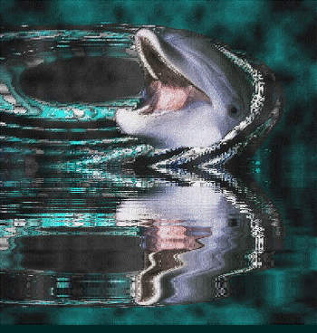 Week-end charg� !!!!! mon mari d�fil� avec sa caserne .