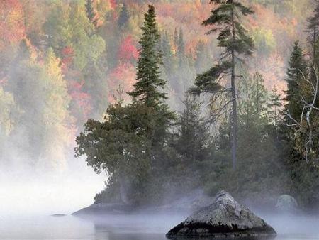 Semaine 45 et oui que le temps passe vite!!!!!!!! 