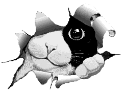 Une gros PUB pour mon amie Azalee !!!!!